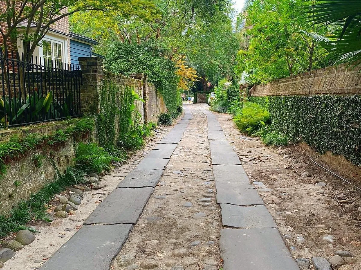 a path with trees on the side of the street