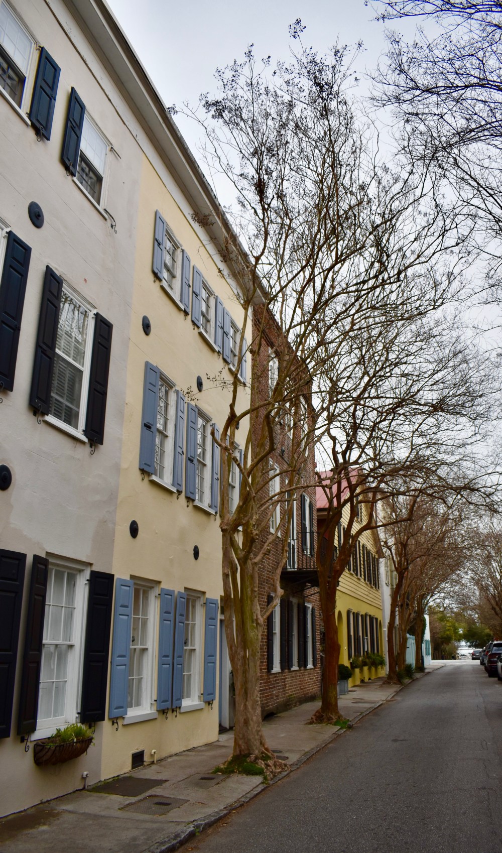 Charleston in February